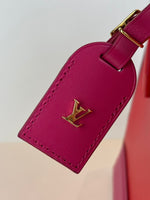 Load image into Gallery viewer, Louis Vuitton Dora handbag
