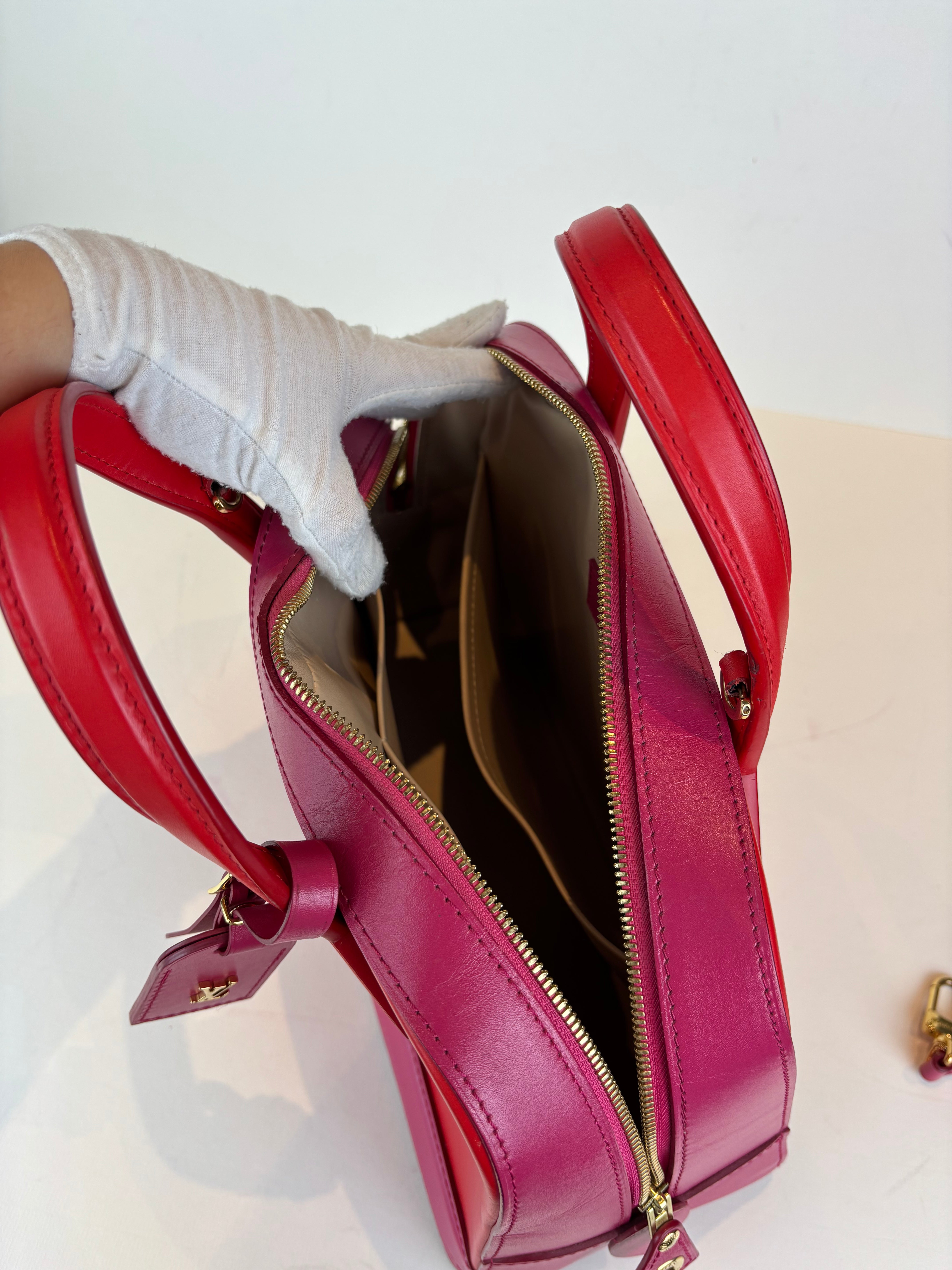 Louis Vuitton Dora handbag