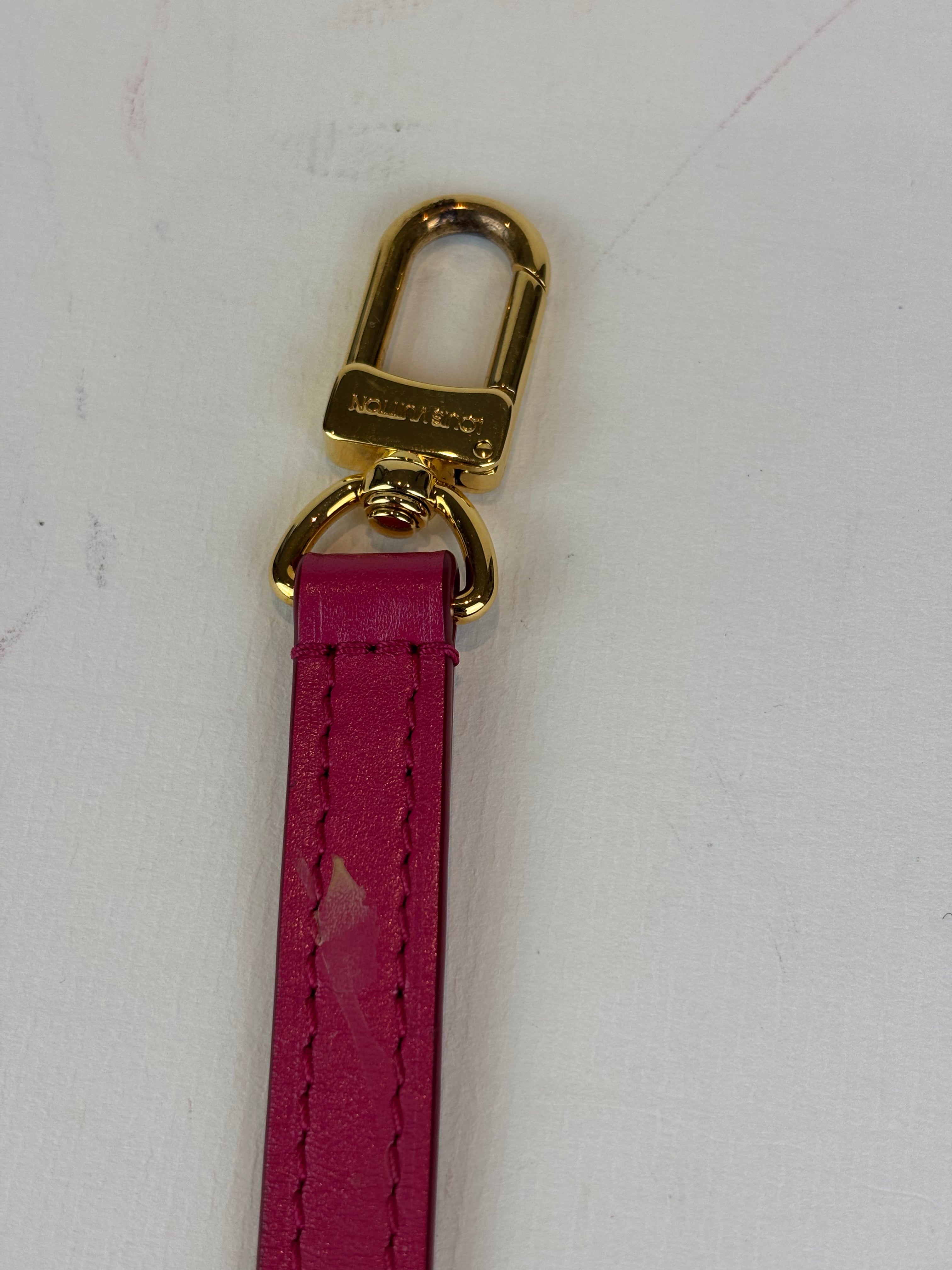 Louis Vuitton Dora handbag