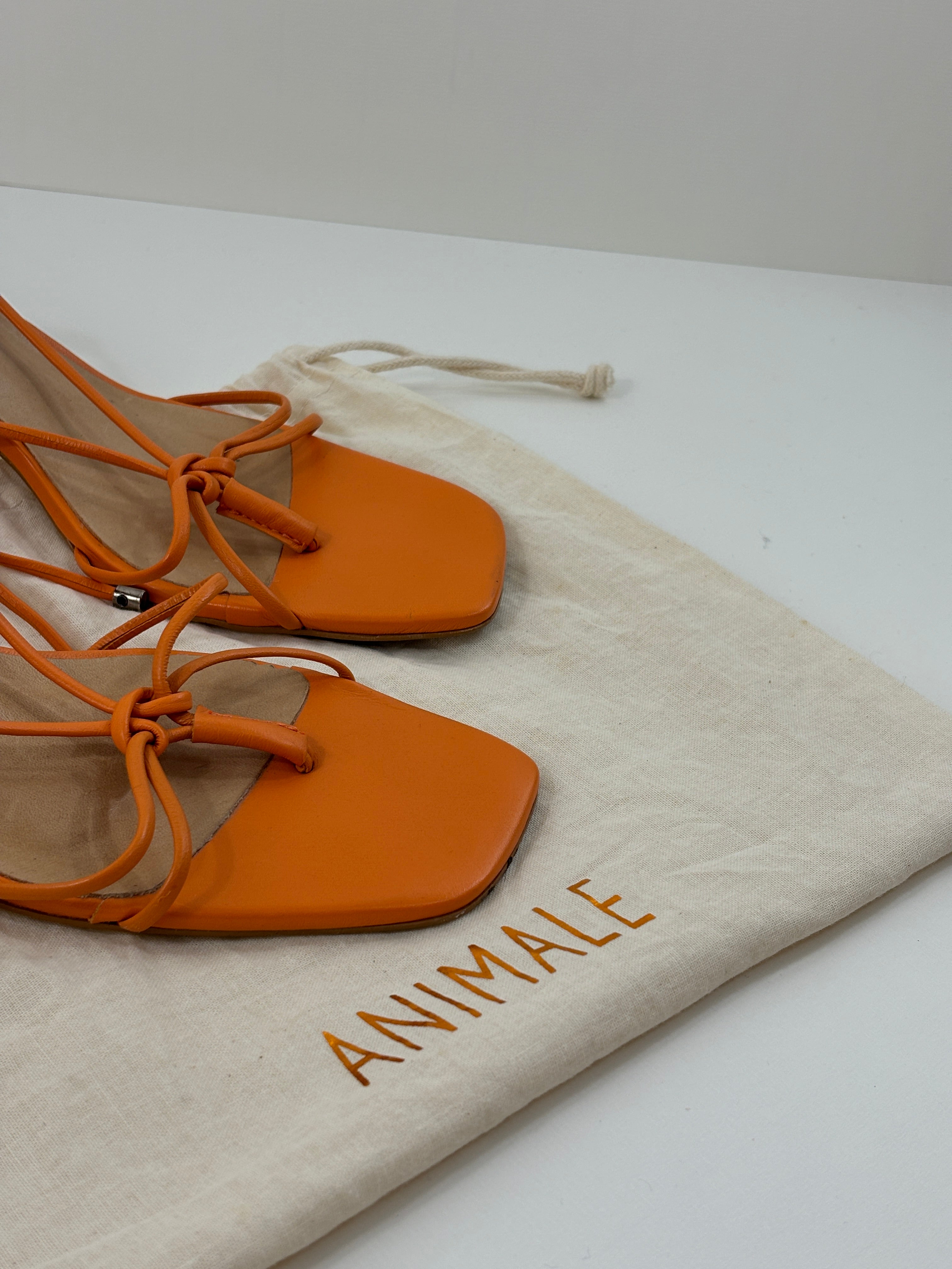 Animale orange sandals - 7 UK