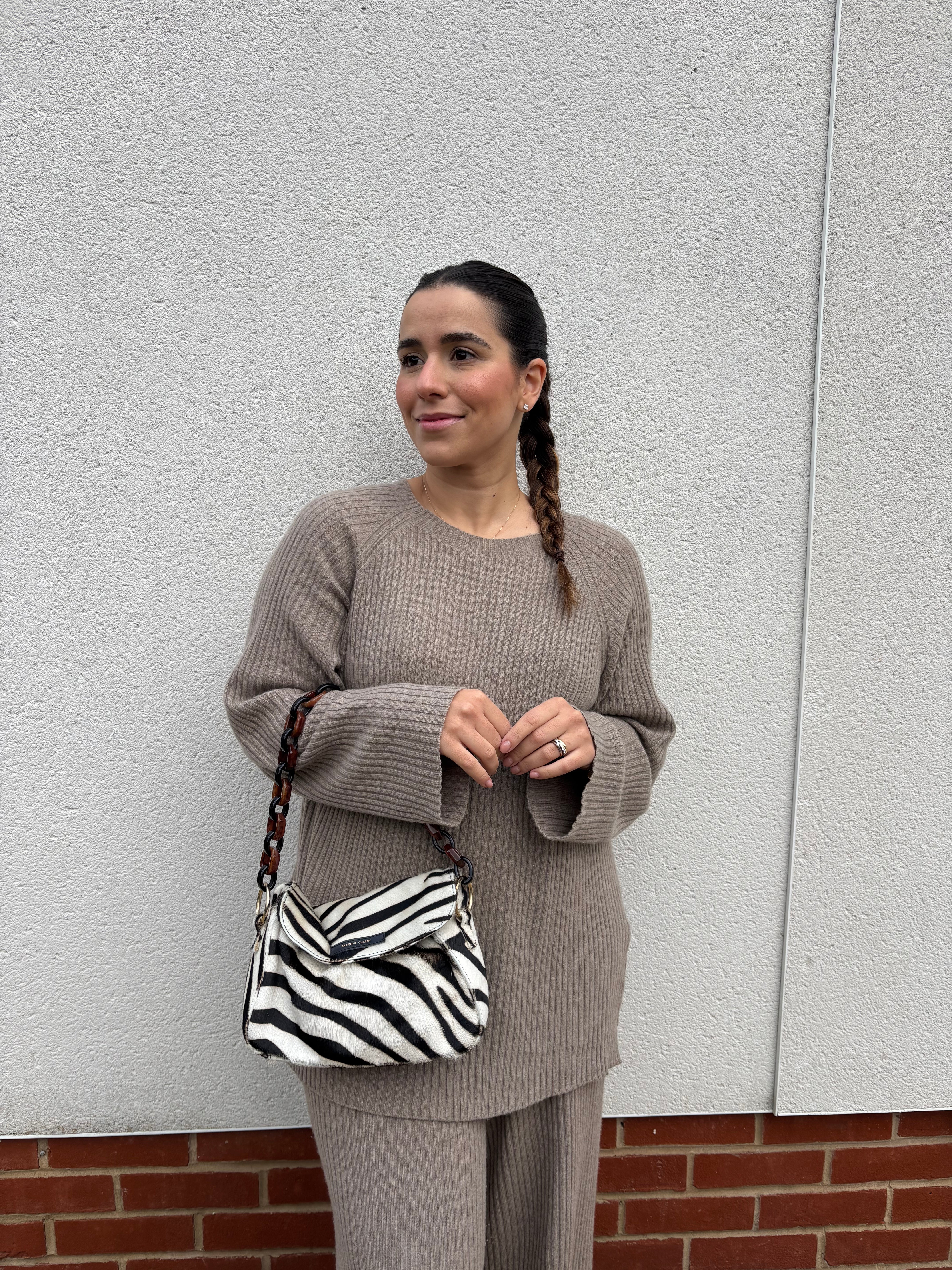 Fabienne Chapot zebra bag